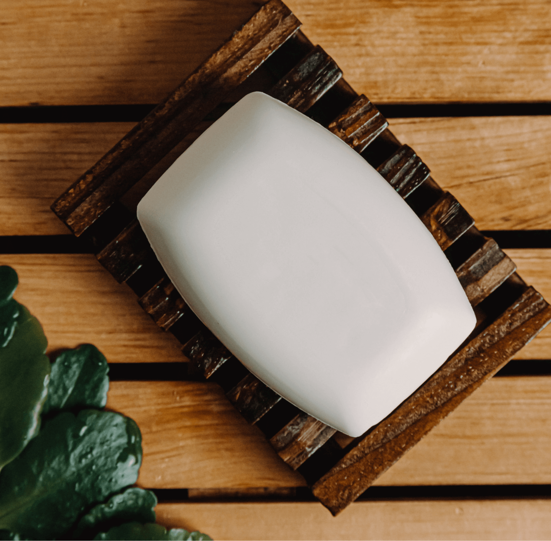 Coconut cream bar soap